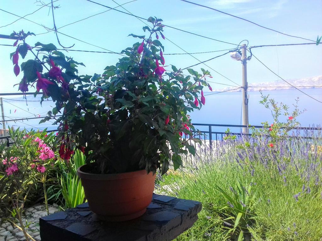 Apartment Little Princess Dora Senj  Εξωτερικό φωτογραφία