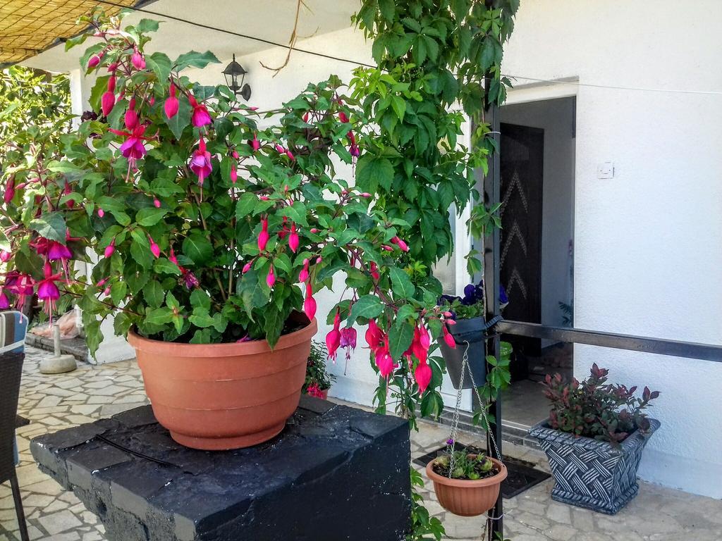 Apartment Little Princess Dora Senj  Εξωτερικό φωτογραφία