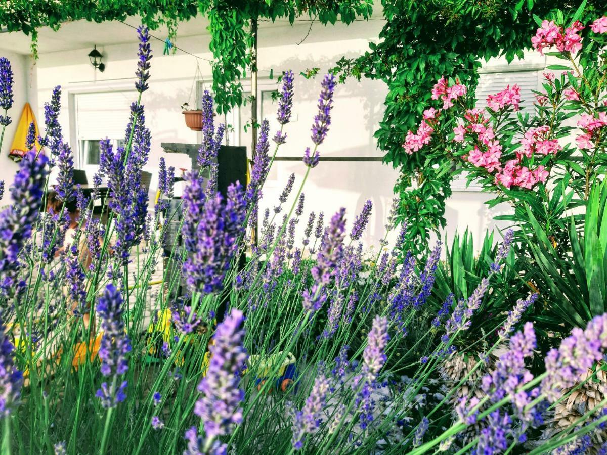 Apartment Little Princess Dora Senj  Εξωτερικό φωτογραφία